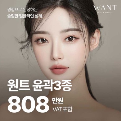 원트 윤곽3종
