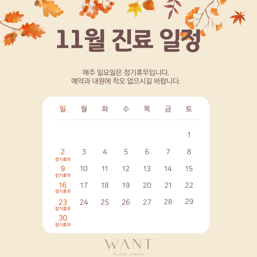 11월 진료일정