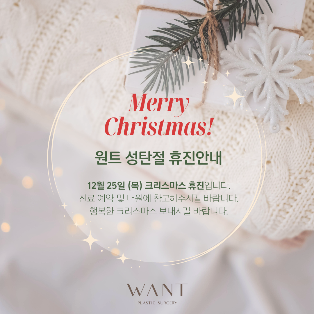 크리스마스 휴진