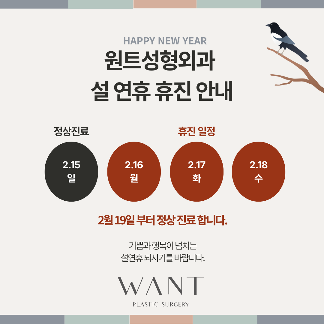 설연휴 휴진일정